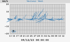 Wind Vector